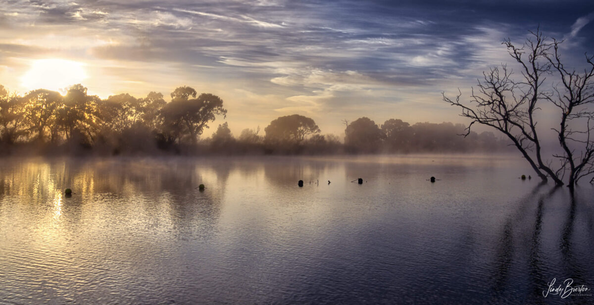 Murray Bridge
